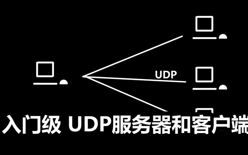udp为什么有服务器和客户端