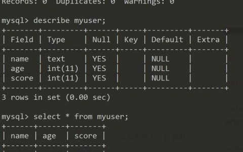 如何使用Docker命令行界面连接到MySQL数据库？