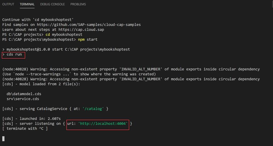 服务器 localhost_如何解决云服务器中的SAP应用程序不能成功启动？
