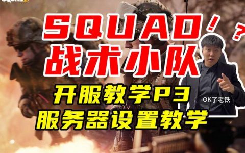 战术小队游戏服务器频繁崩溃的原因探究