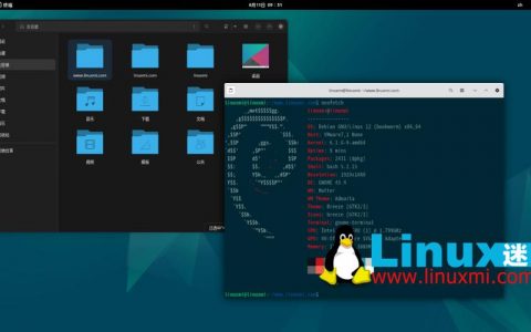 Debian 主机版本有哪些显著特点和优势？