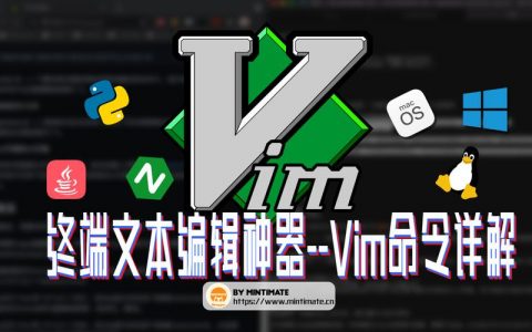 如何轻松安装服务器Vim插件并实现一键式重置密码？