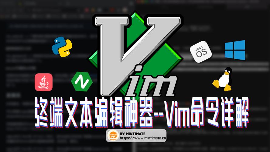 服务器vim插件_安装一键式重置密码插件
