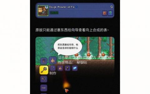 为何灾厄联机频繁遭遇服务器连接问题？
