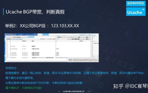 服务器托管中的BGP协议，静态BGP、全动态BGP和优选BGP有何不同？