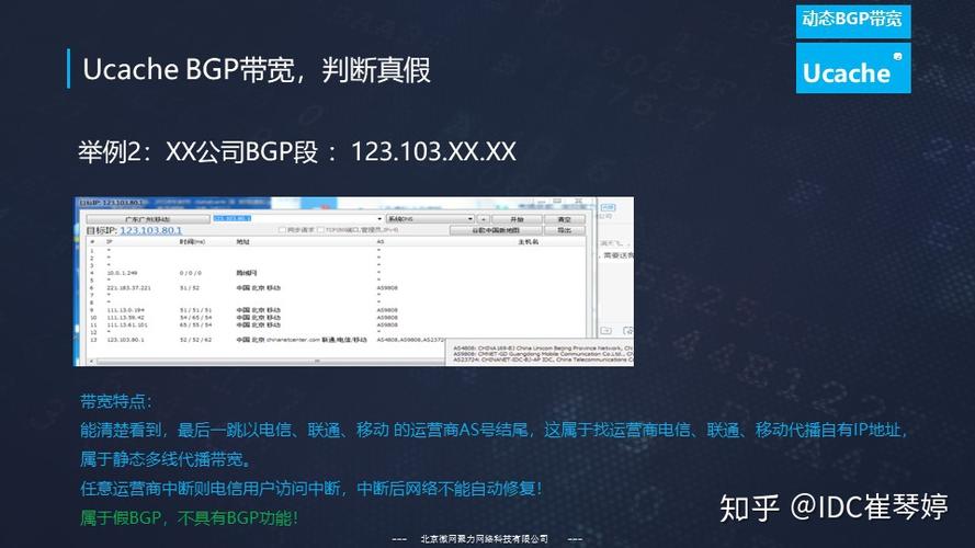 服务器托管bgp _静态BGP、全动态BGP、优选BGP之间有何区别？