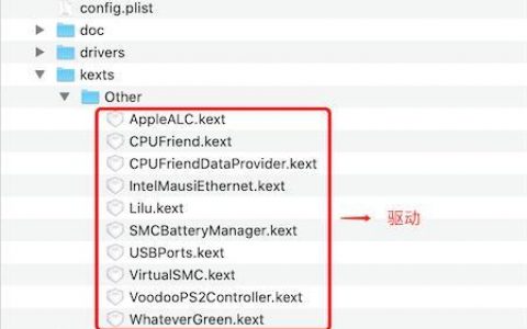 如何确定进入四叶草服务器所需的软件版本？