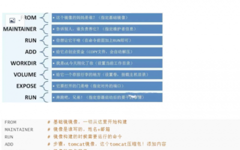 如何有效执行Docker基本命令？