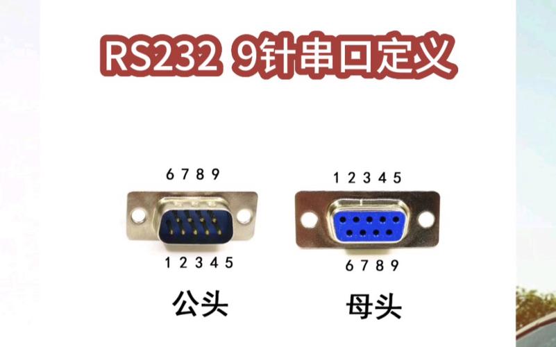 服务器后边九针口叫什么口