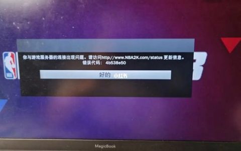 为何2K公司在中国没有设立服务器？