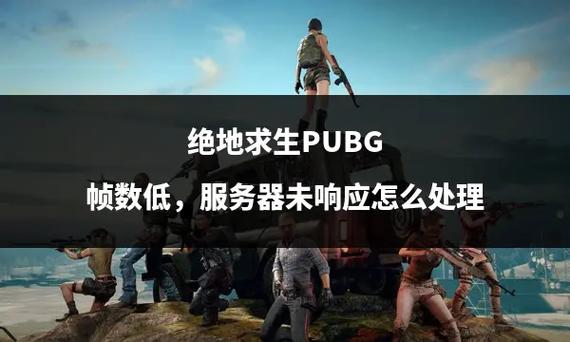 pubg改什么服务器能打日本人