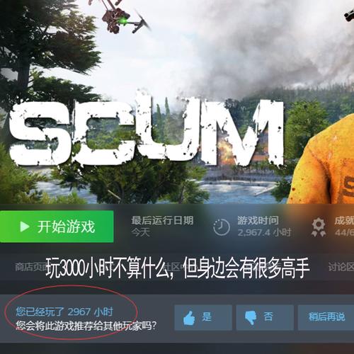 scum服务器排名是依靠什么来决定的