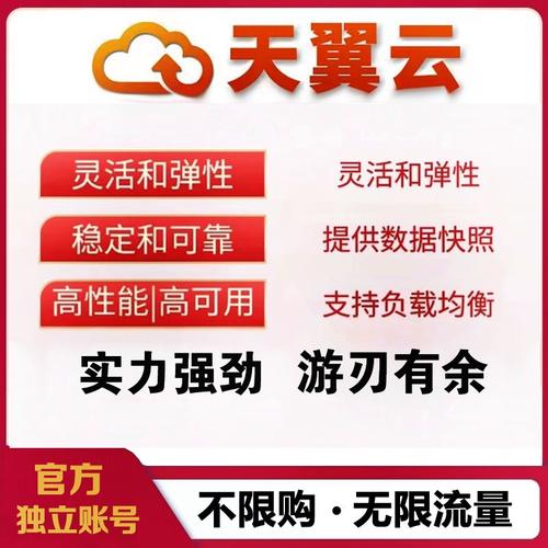 服务器开vps ip_方案概述