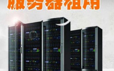 如何高效管理租用的服务器实体？