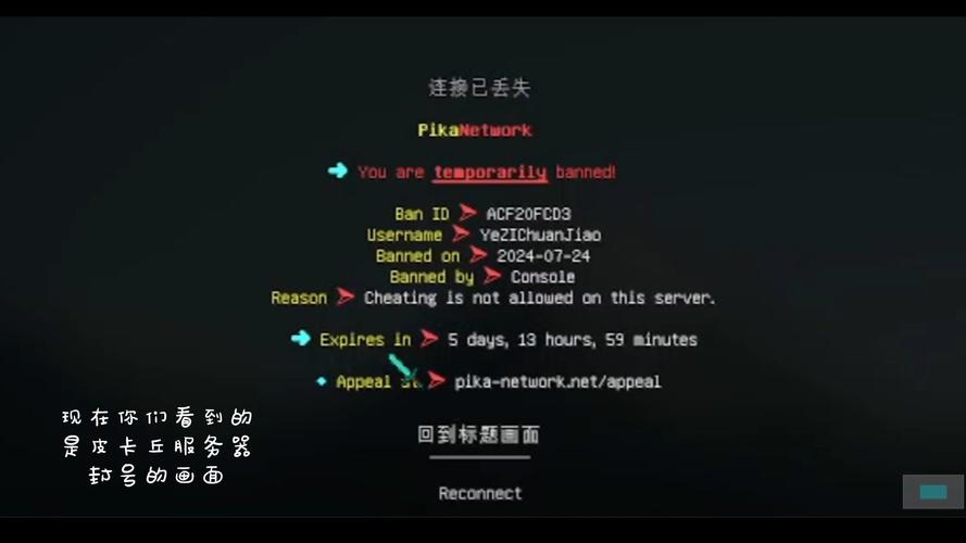 皮卡丘为什么进不去服务器中断