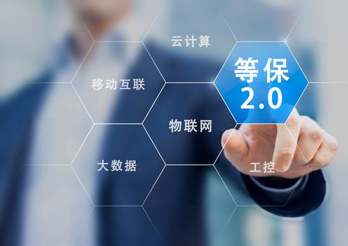 等保建设安全服务资质怎么查_购买等保建设助手