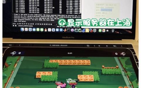 天骐所参与的国服服务器具体是哪一个？