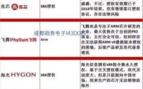 服务器品牌排行中，定制双品牌战略的成效如何评估？