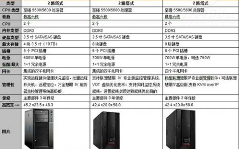 如何选择适合的服务器品牌及其版本？