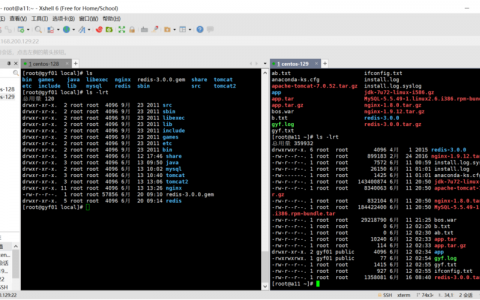 Xshell在服务器搭建过程中扮演什么角色？