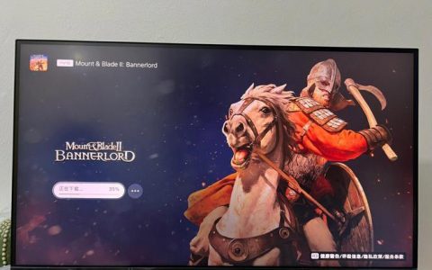 骑马与砍杀服务器密码究竟指代什么？