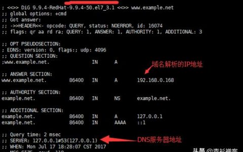 服务器文件命名规则，它们究竟代表什么？