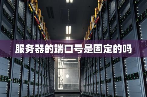 服务器端口号为什么固定