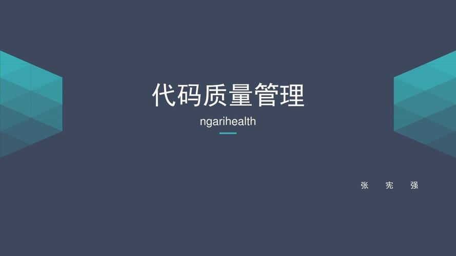 代码质量管理_质量管理