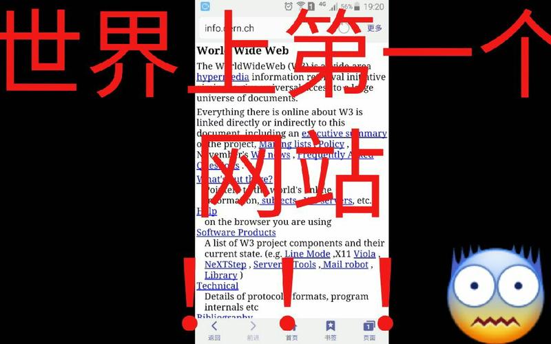 访问外国网站浏览器_访问网站