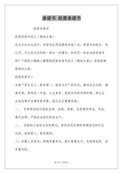 非经营性承诺_附录承诺书