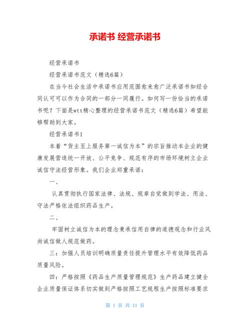 非经营性承诺_附录承诺书