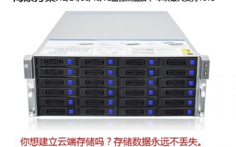 如何成功搭建一个高效的分布式文件服务器？