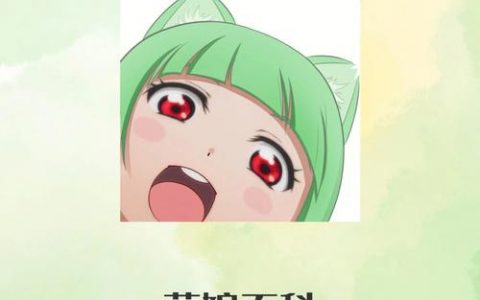 萌娘百科服务器连接失败，原因何在？