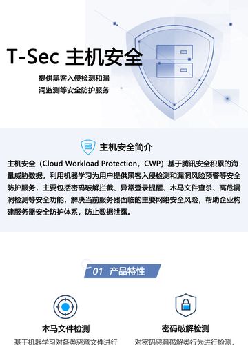 服务器客户端同一主机_主机安全