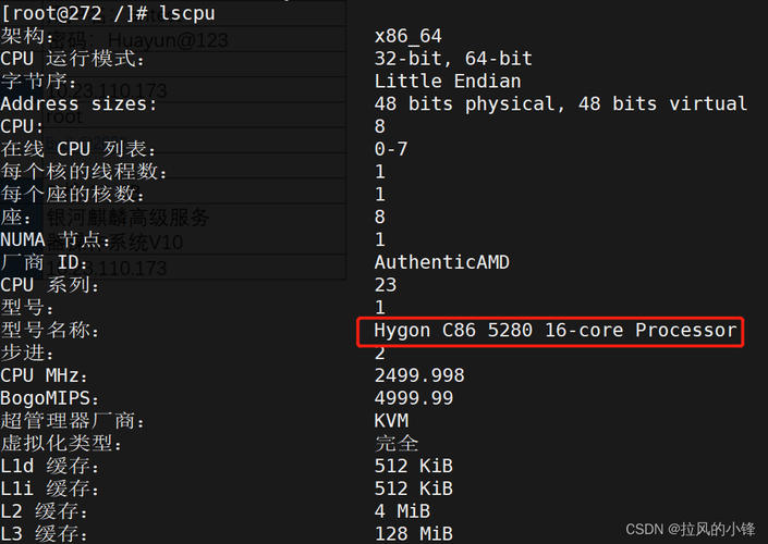 服务器配置cpu_CPU检查
