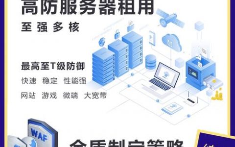 高防服务器与IP防护，关键差异解析