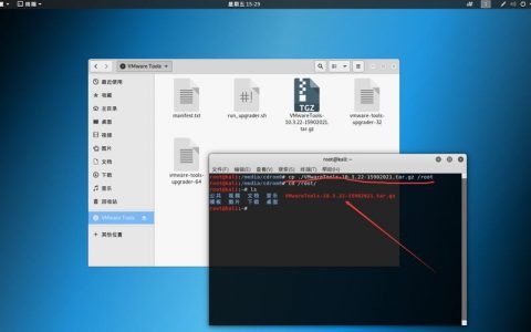 如何在Debian操作系统上搭建虚拟主机？