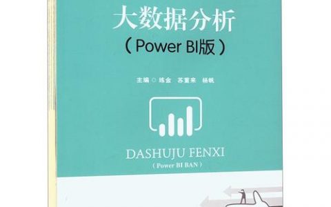 如何通过大数据分析书籍提升我的分析技能？
