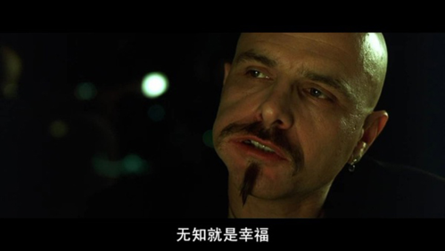苦艾服务器三个彩蛋是什么