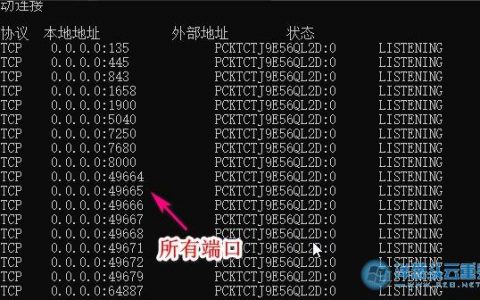 如何安全地查看和评估风险端口的开放状态？