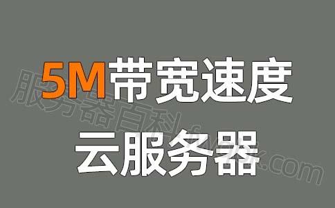 云服务器5m是什么意思