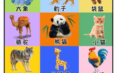 动物图像识别技术如何助力野生动物保护与研究？