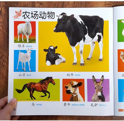 动物图像识别_图像识别