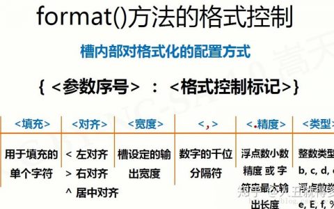 如何有效利用Format格式化与Parquet Format优化数据存储？