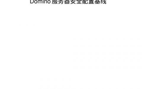 如何确保Domino服务器的安全性，关键配置步骤是什么？
