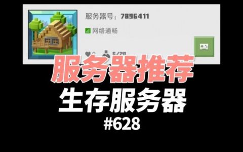 为何必须终止Minecraft中文版服务器的运营？