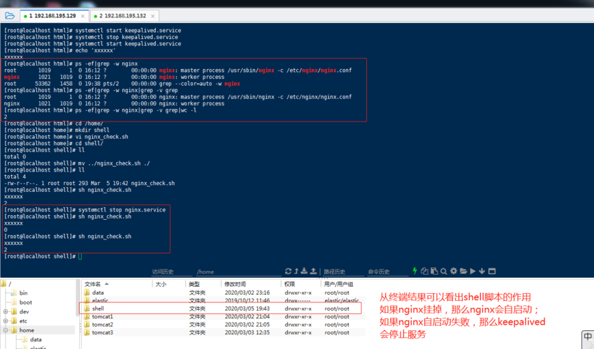 FreeBSD 搭建web主机_搭建Keepalived Nginx高可用Web集群