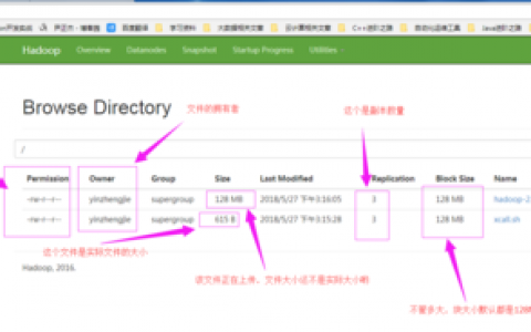 如何在HDFS中读取指定文件的内容？