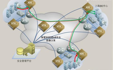 如何有效利用DDoS云防护系统提升网络安全防御？