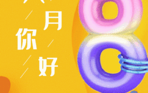 如何有效设置和优化DW动态网站模板？